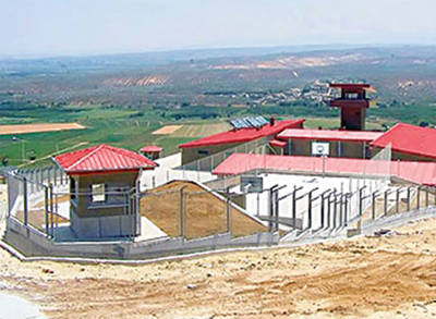 kalekol