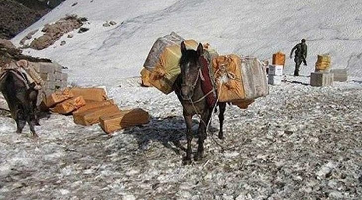 serbest bırakıldılar